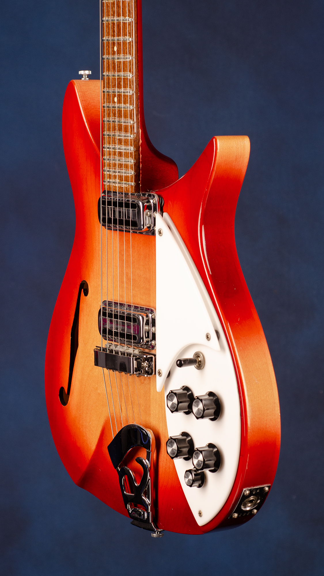 310 (2 pickups 'R' tailpiece) Guitars | Fretted Americana Inc.